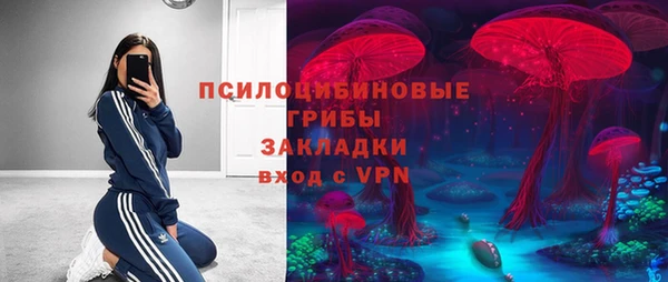 mdpv Вяземский