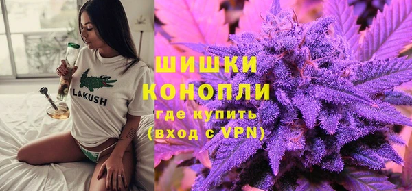 2c-b Горно-Алтайск