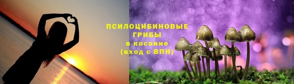 альфа пвп Гусиноозёрск