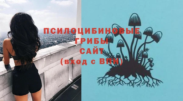 mdpv Вяземский